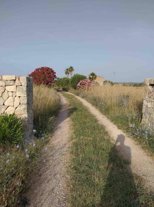 Typisch Mallorquinische Finca - Pool, Ruhige Lage Villa Manacor  Exterior photo