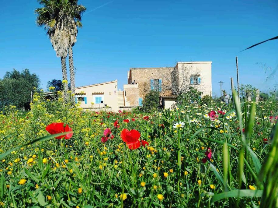 Typisch Mallorquinische Finca - Pool, Ruhige Lage Villa Manacor  Exterior photo